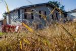 Kissam Ave From Mill Road, October 25, 2014