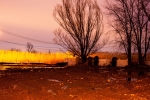 Empty Lot, Fox Beach Ave., March 13, 2015